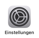 Einstellungsicon